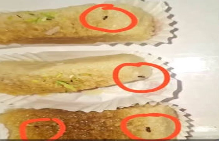 न्यू डेल्ही स्वीट्स के कलाकंद के अंदर निकला मच्छर, खाद्य एवं औषधि प्रशासन टीम ने लिए सैंपल डेल्ही स्वीट्स के कलाकंद के अंदर निकला मच्छर, खाद्य एवं औषधि प्रशासन टीम ने लिए सैंपल