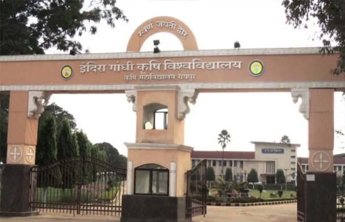 IGKV पेपर लीक के बाद 2 परीक्षाएं रद्द… सितंबर के पहले सप्ताह में दोबारा होंगी, अब तक 6 गिरफ्तार IGKV पेपर लीक के बाद 2 परीक्षाएं रद्द... सितंबर के पहले सप्ताह में दोबारा होंगी, अब तक 6 गिरफ्तार