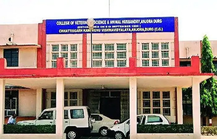 कामधेनु यूनिवर्सिटी की भर्ती पर राजभवन ने लगाई रोक: शैक्षणिक पदों पर भर्ती, नियुक्ति और इंटरव्यू स्थगित कामधेनु यूनिवर्सिटी की भर्ती पर राजभवन ने लगाई रोक: शैक्षणिक पदों पर भर्ती, नियुक्ति और इंटरव्यू स्थगित